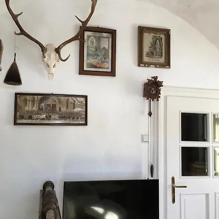 Apartment Relaxing Rustic Steinakirchen Am Forst